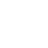 Spot Jaguar Pantanal